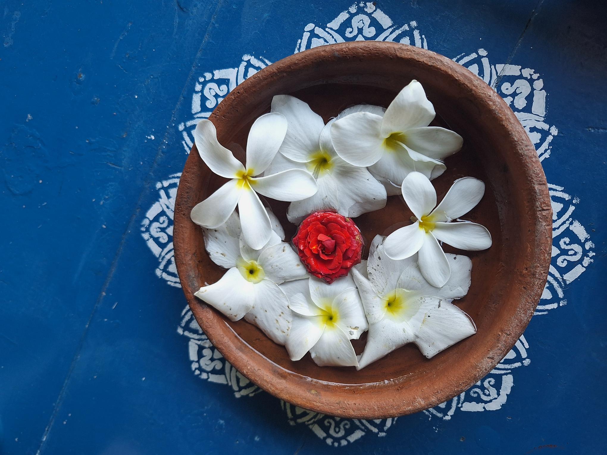 Holistisk Yoga & Ayurveda Retreat