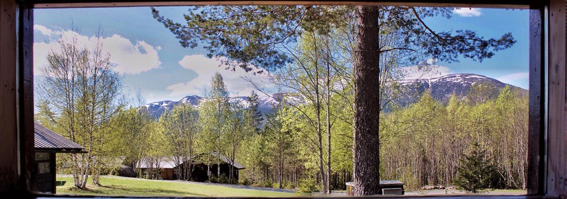 evolving through the chakras view from accomodation