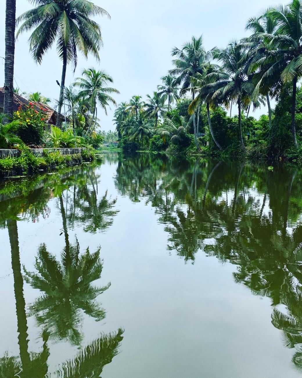 Ayur wakeup Ayurveda & Yoga Retreat, alleppey, Kerela, India