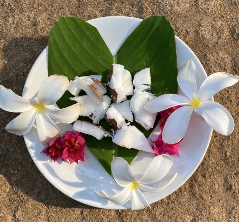 Holistisk Yoga & Ayurveda Retreat